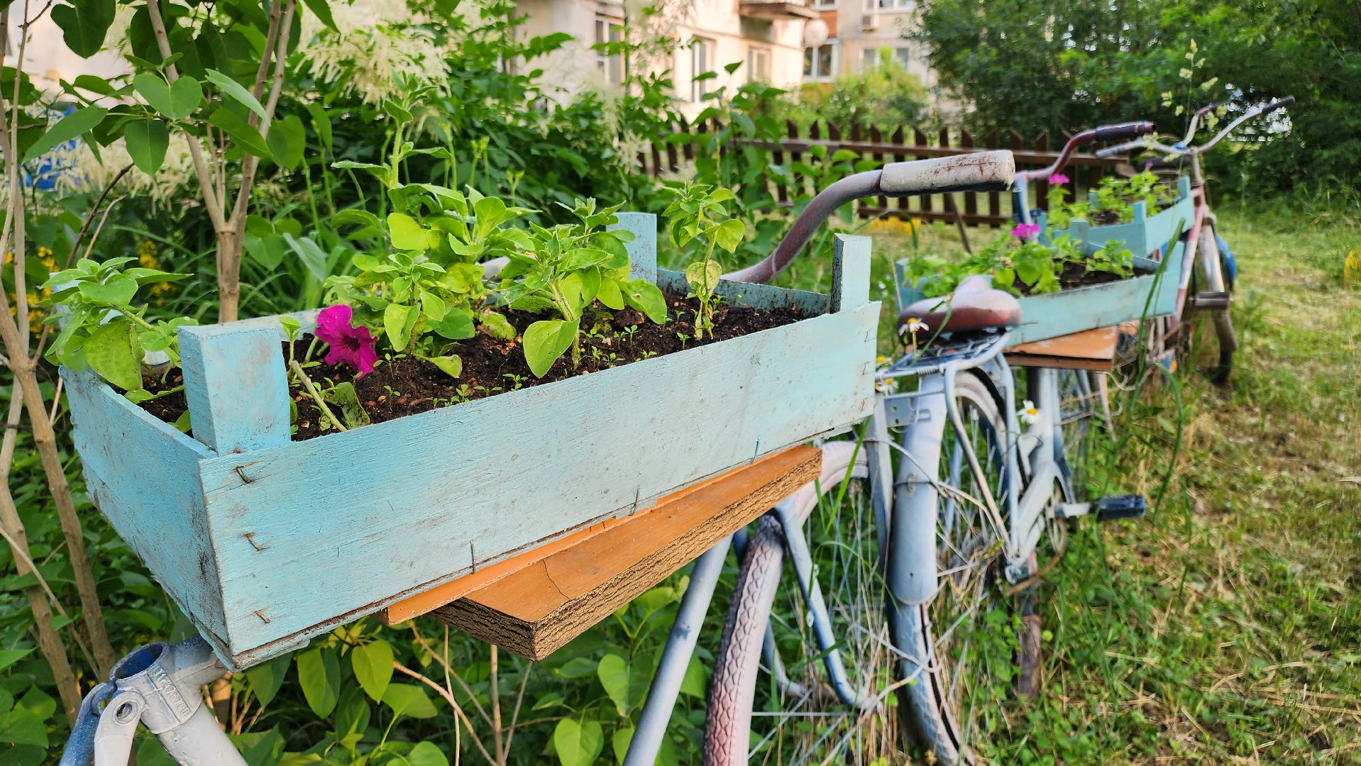 кашира, выездная администрация, капитальный ремонт, ремонт кровли, ремонт фундамента, ремонт фасада, жкх,