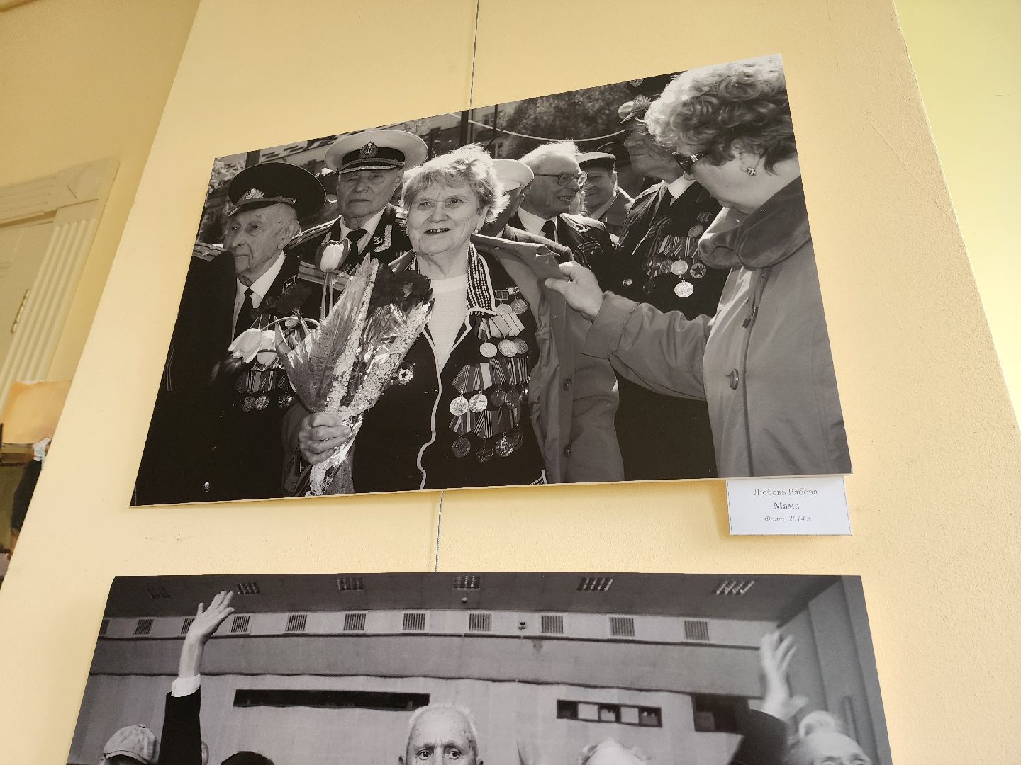 солнечногорск, культура , выставка, память, жители ,