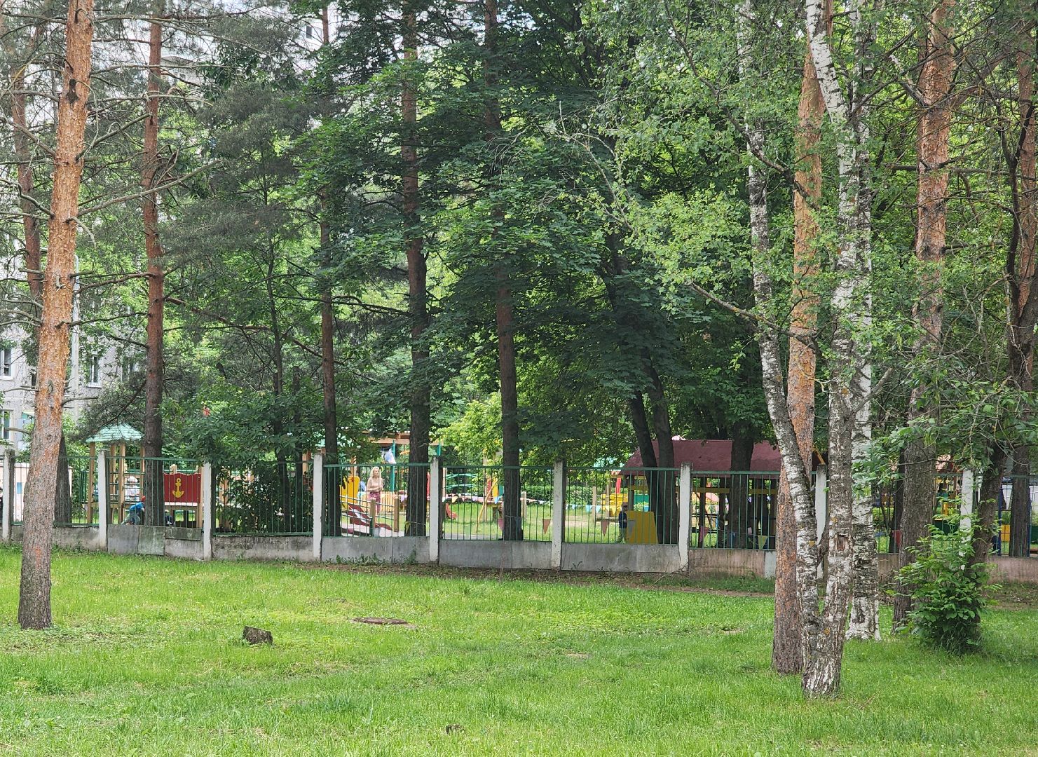 детские группы, орехово-зуево,