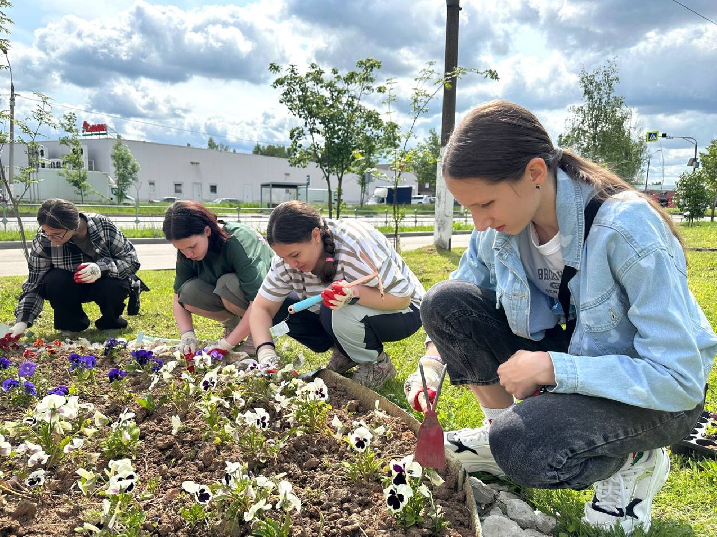 красноармейск, городской округ пушкинский, экологическая бригада, городские цветники,