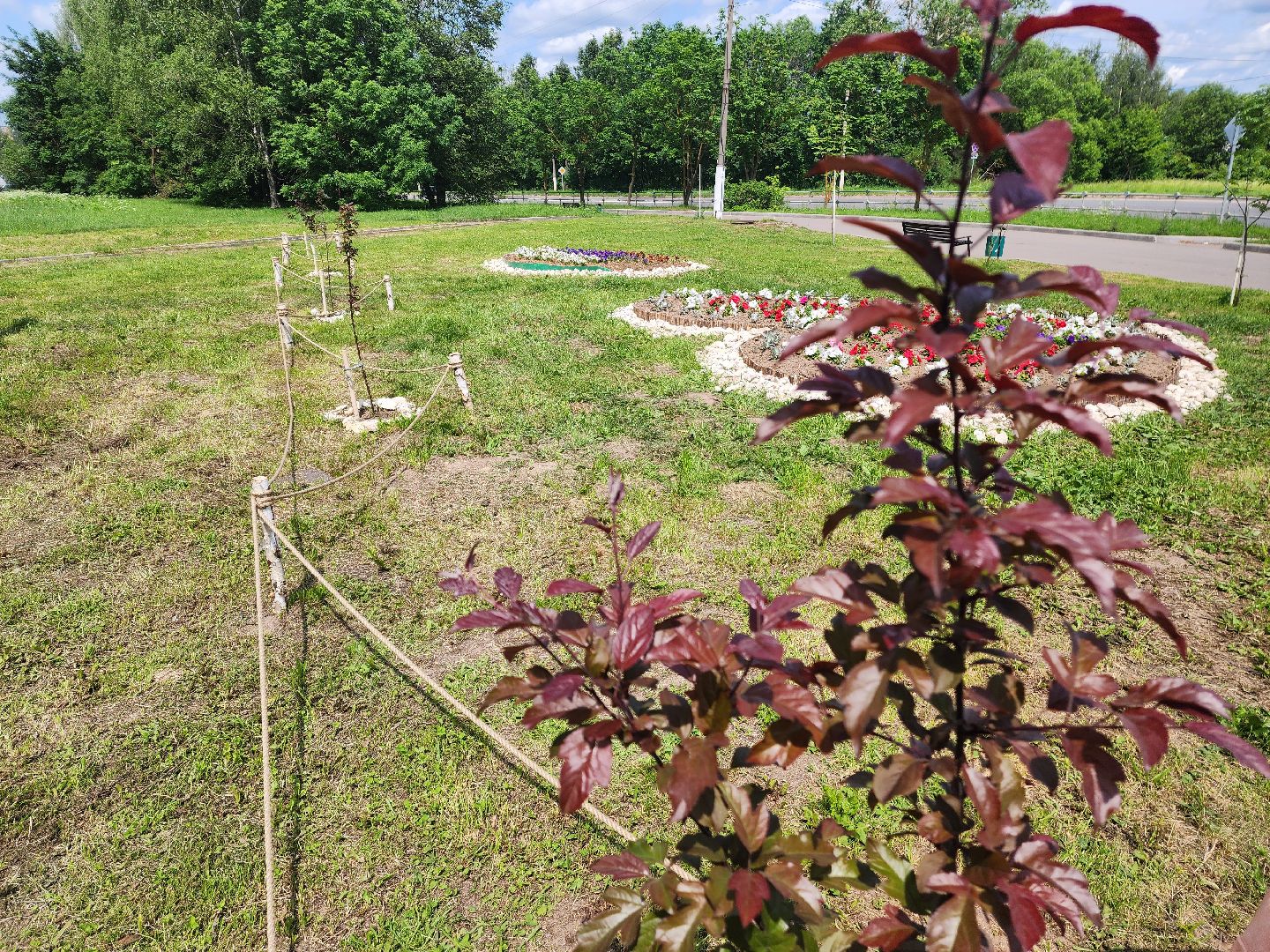 красноармейск, городской округ пушкинский, экологическая бригада, городские цветники,