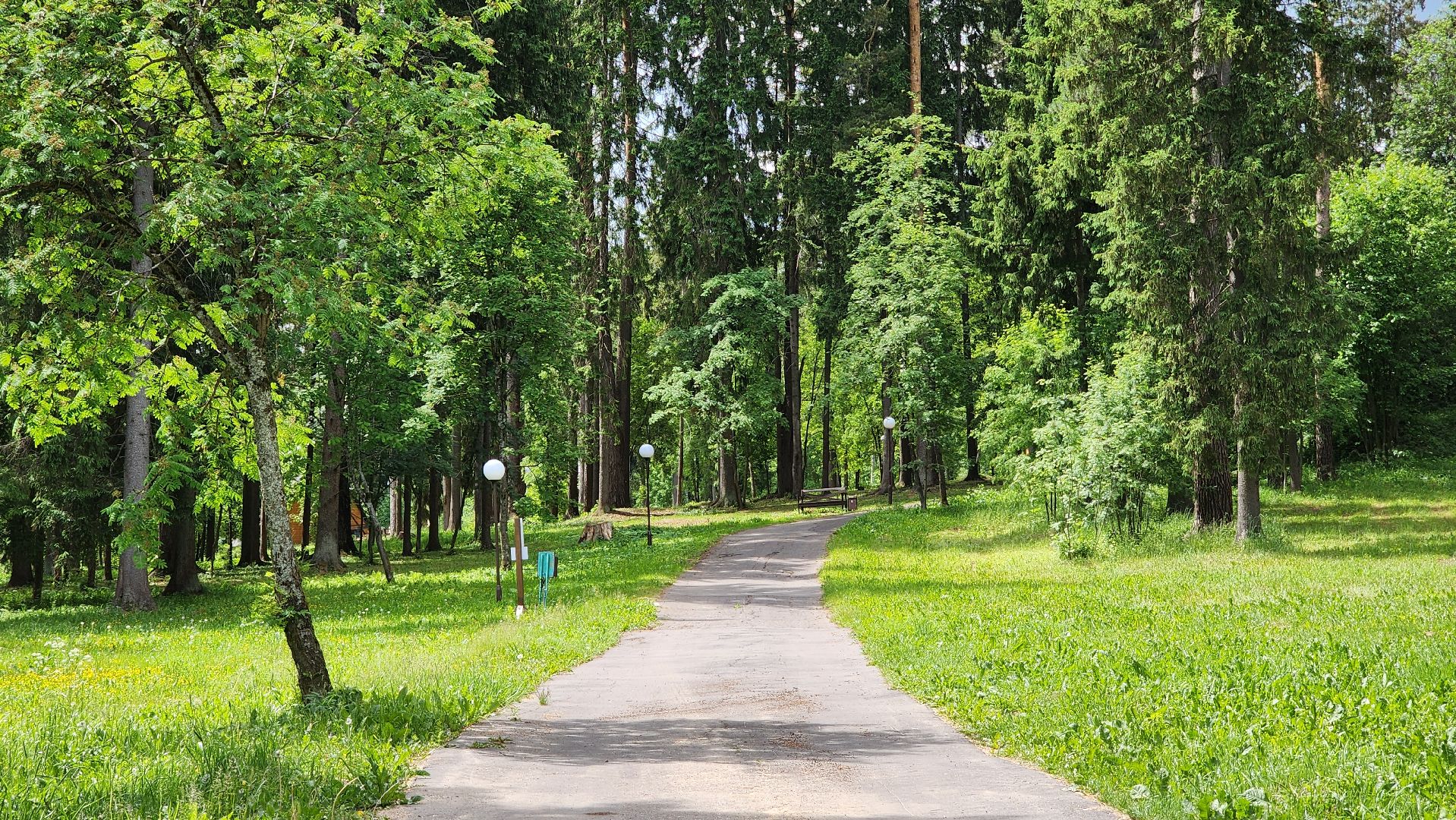 Руза, лето в рузе, Пляж, Отдых на воде,