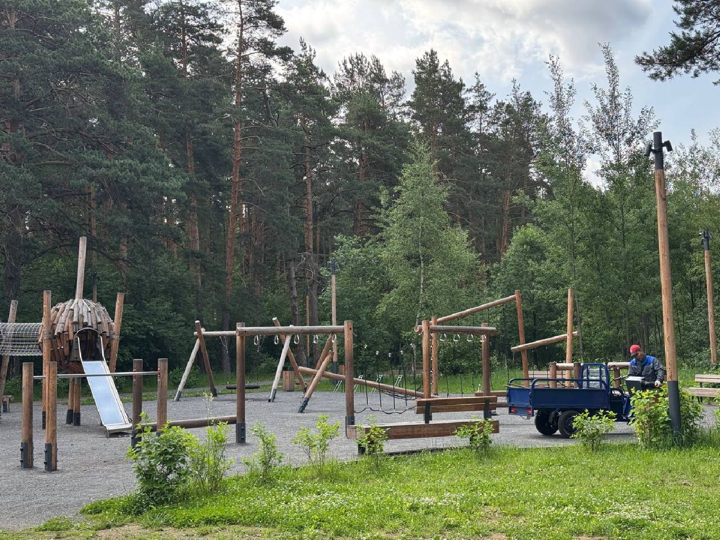 люберцы, наташинский парк, Лесная опушка, отдых в подмосковье, отдых на природе,