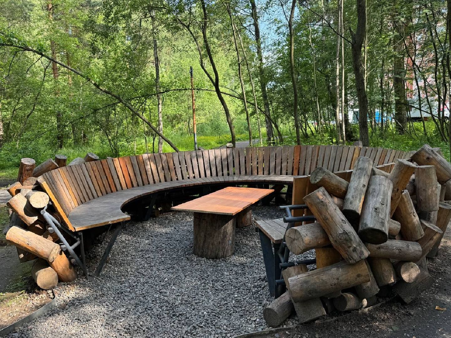 люберцы, наташинский парк, Лесная опушка, отдых в подмосковье, отдых на природе,