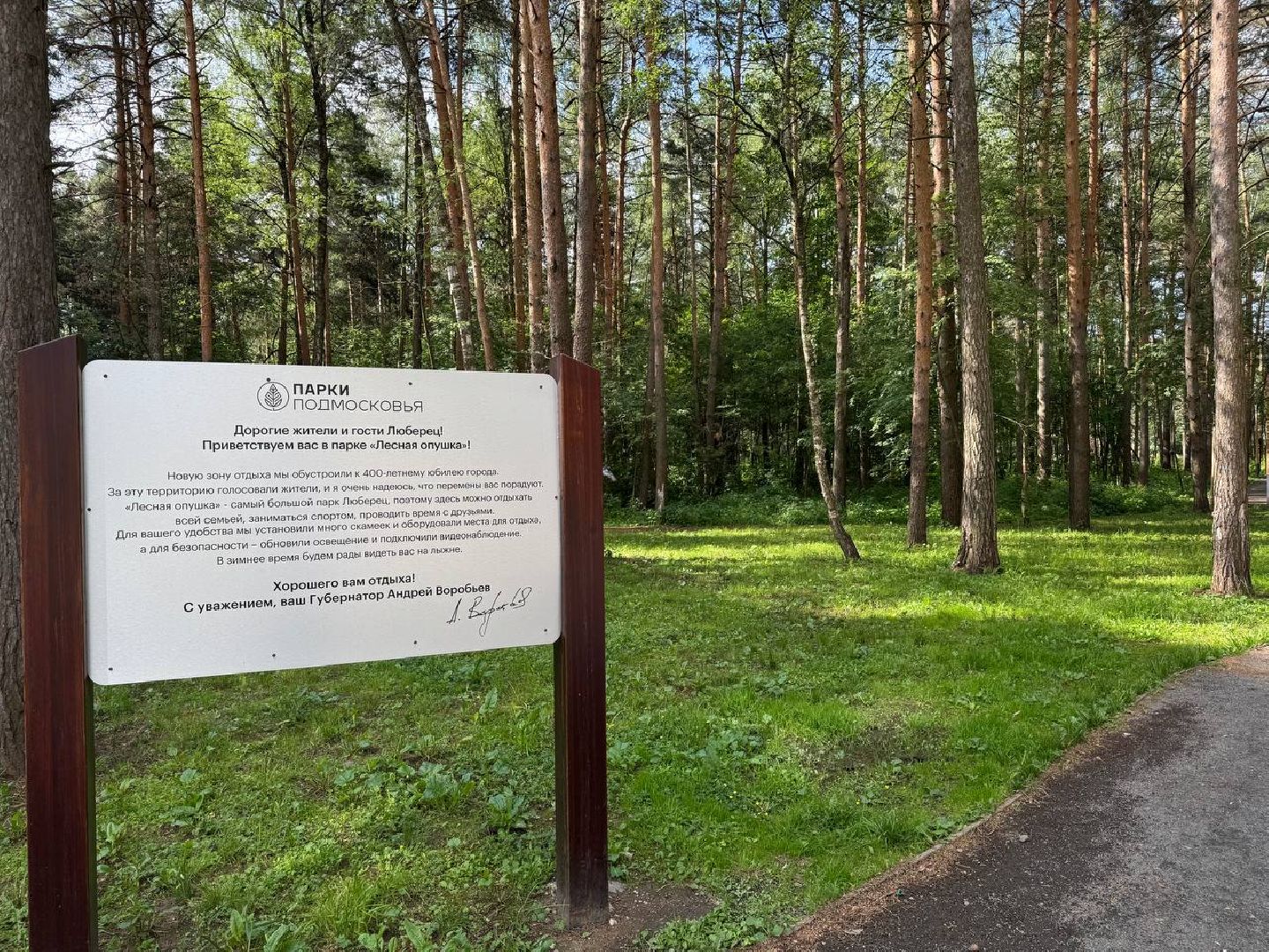 люберцы, наташинский парк, Лесная опушка, отдых в подмосковье, отдых на природе,