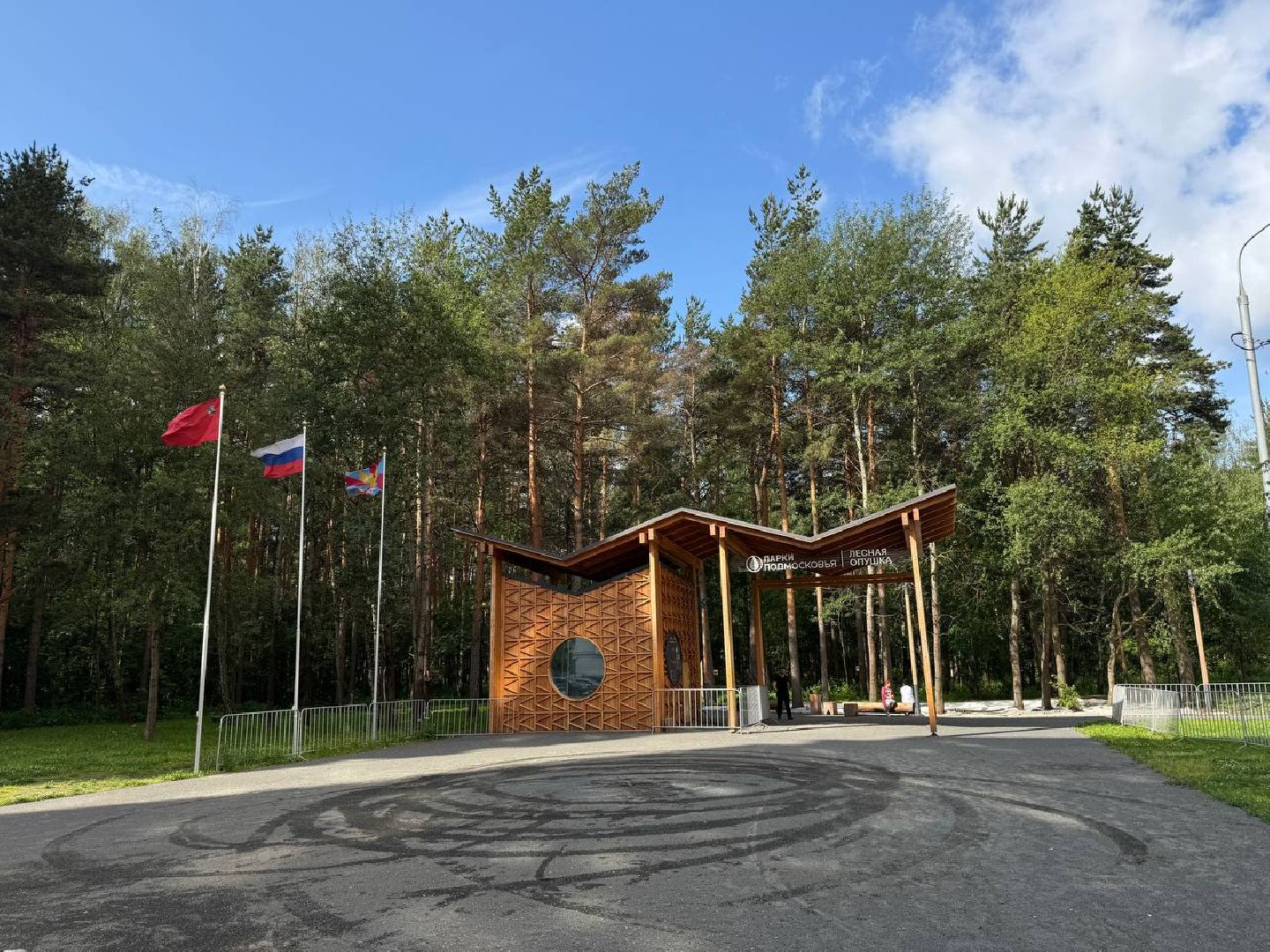 люберцы, наташинский парк, Лесная опушка, отдых в подмосковье, отдых на природе,