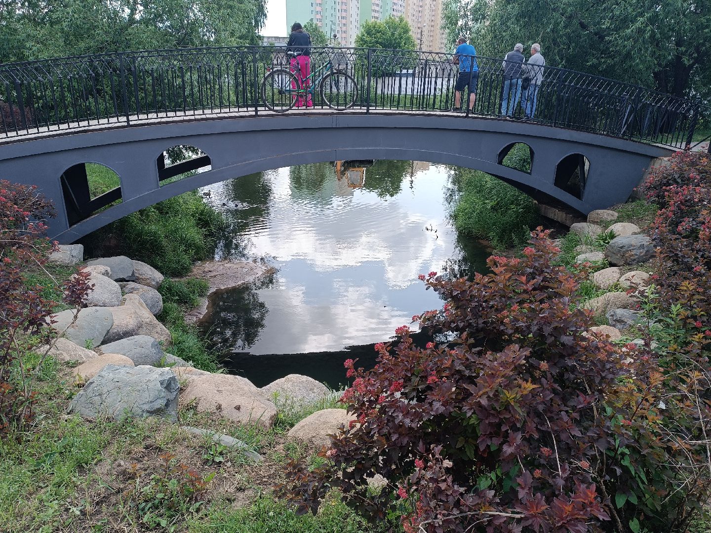 люберцы, пруд, Благоустройство , очистка водоема, островцы,