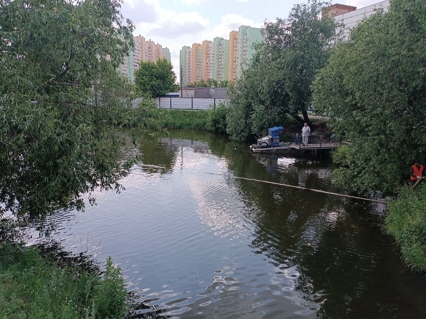 люберцы, пруд, Благоустройство , очистка водоема, островцы,