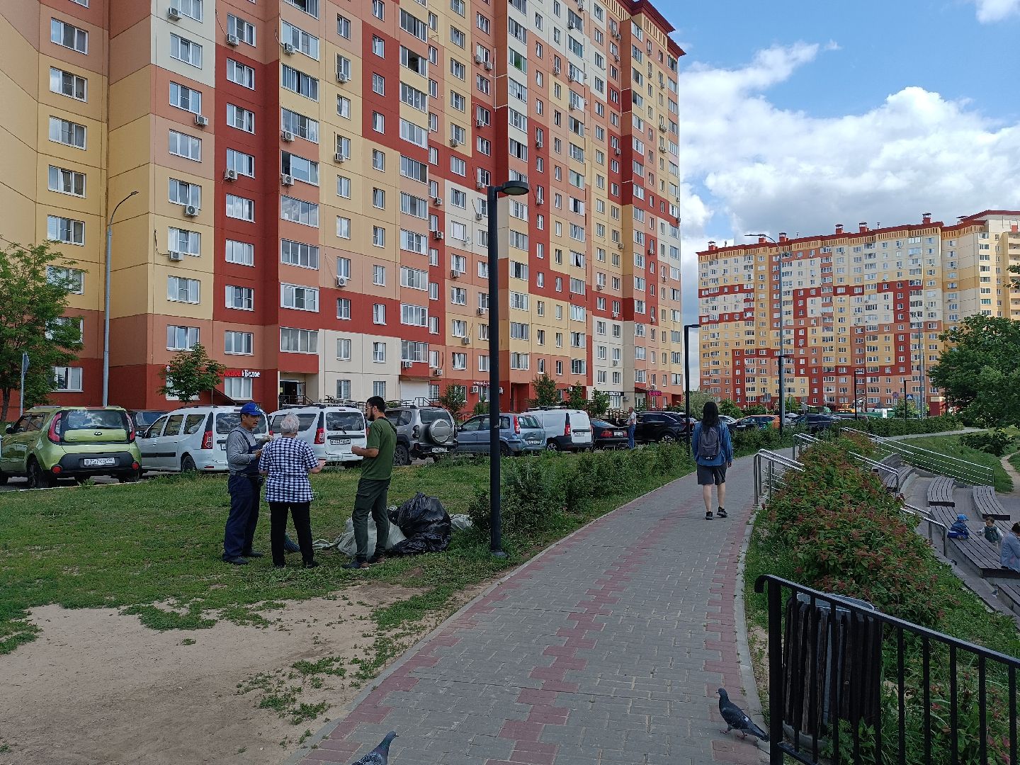 люберцы, пруд, Благоустройство , очистка водоема, островцы,