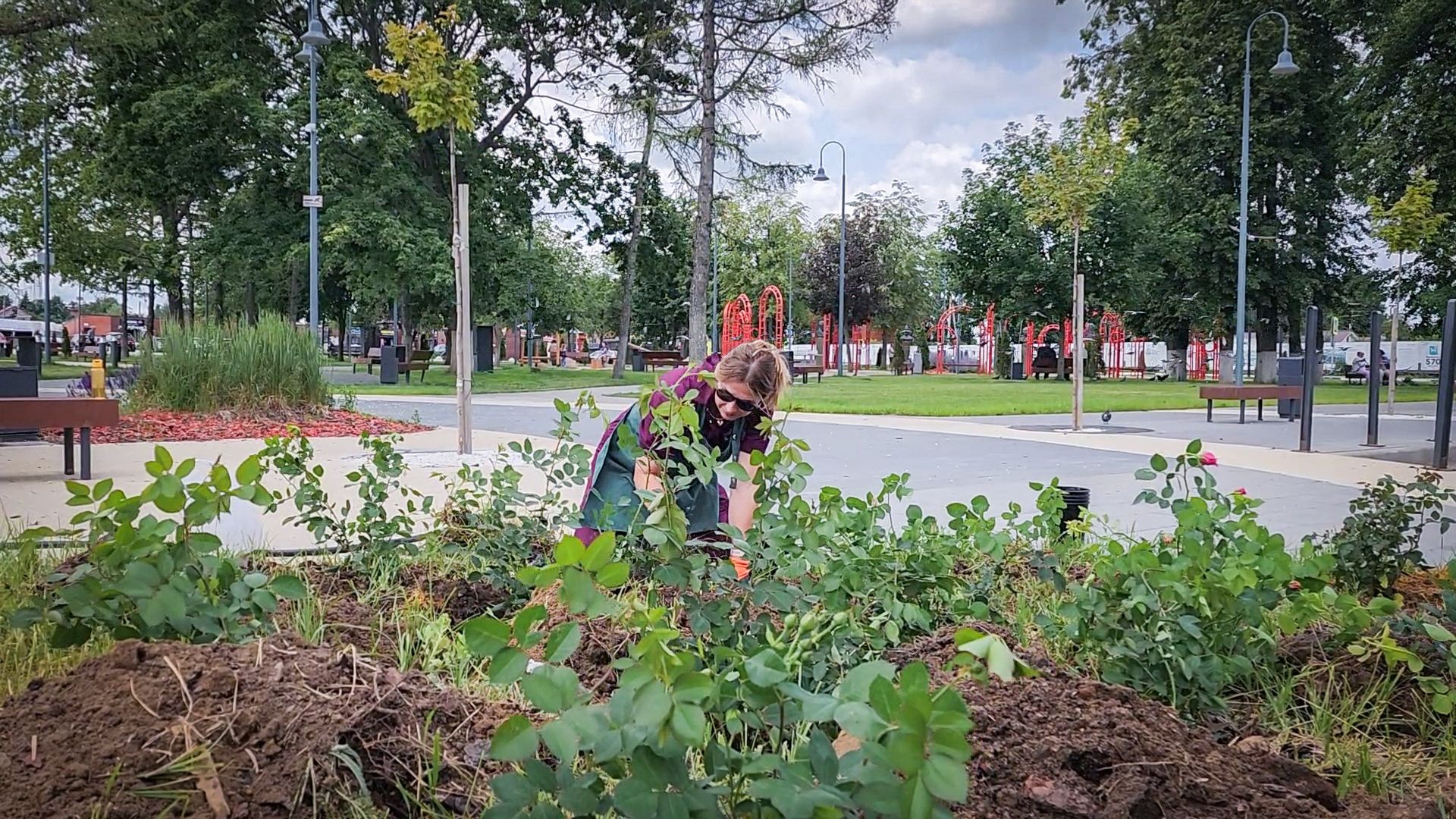 бронницы, союз Содействие женскому предпринимательству , Нежная клумба , новый цветник на площади имени Тимофеева ,