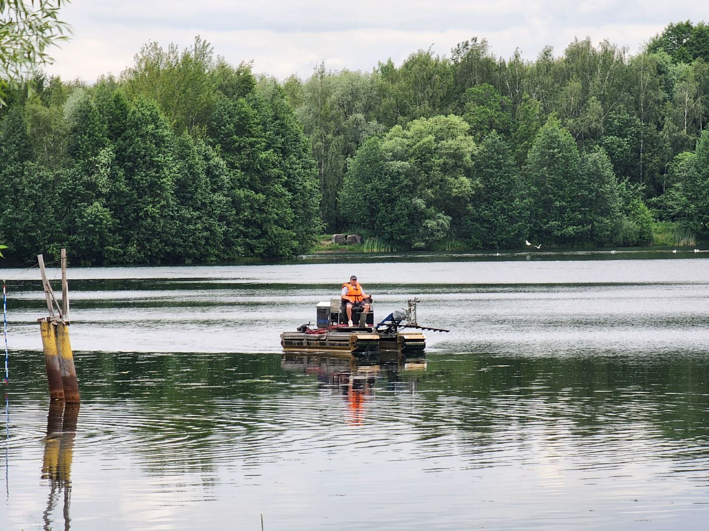 электросталь, жители, общество, очистка водоема, голосование, пруд, 100 прудов и озер,