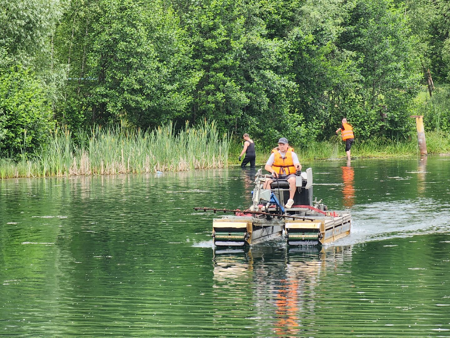 электросталь, жители, общество, очистка водоема, голосование, пруд, 100 прудов и озер,