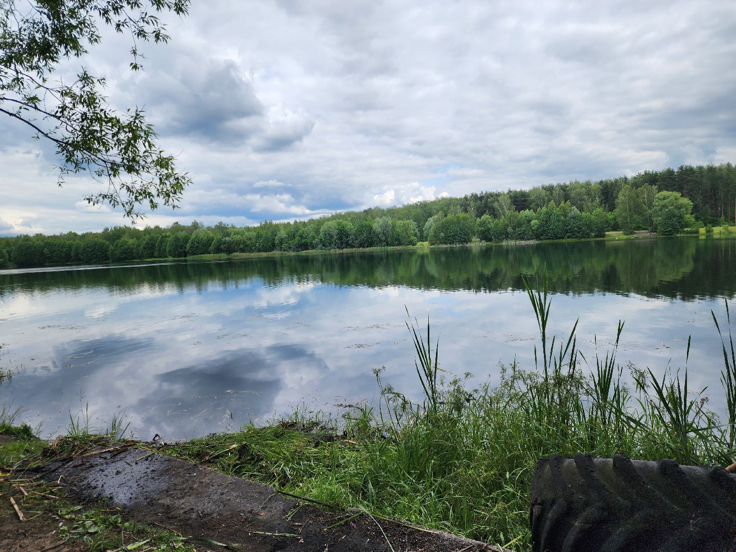 электросталь, жители, общество, очистка водоема, голосование, пруд, 100 прудов и озер,