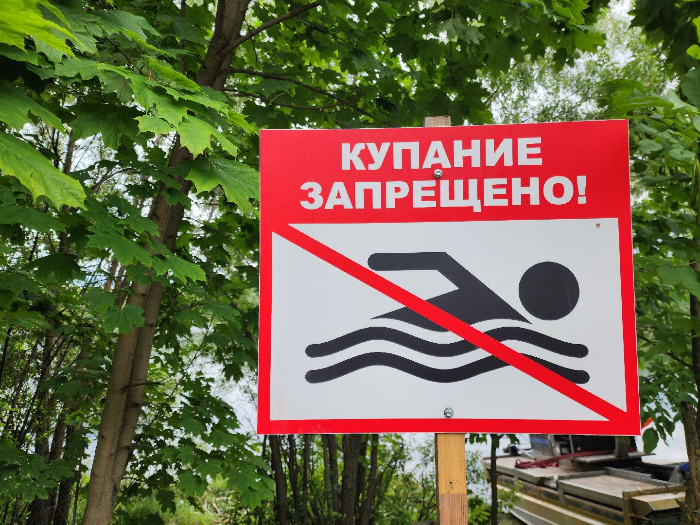 электросталь, жители, общество, очистка водоема, голосование, пруд, 100 прудов и озер,