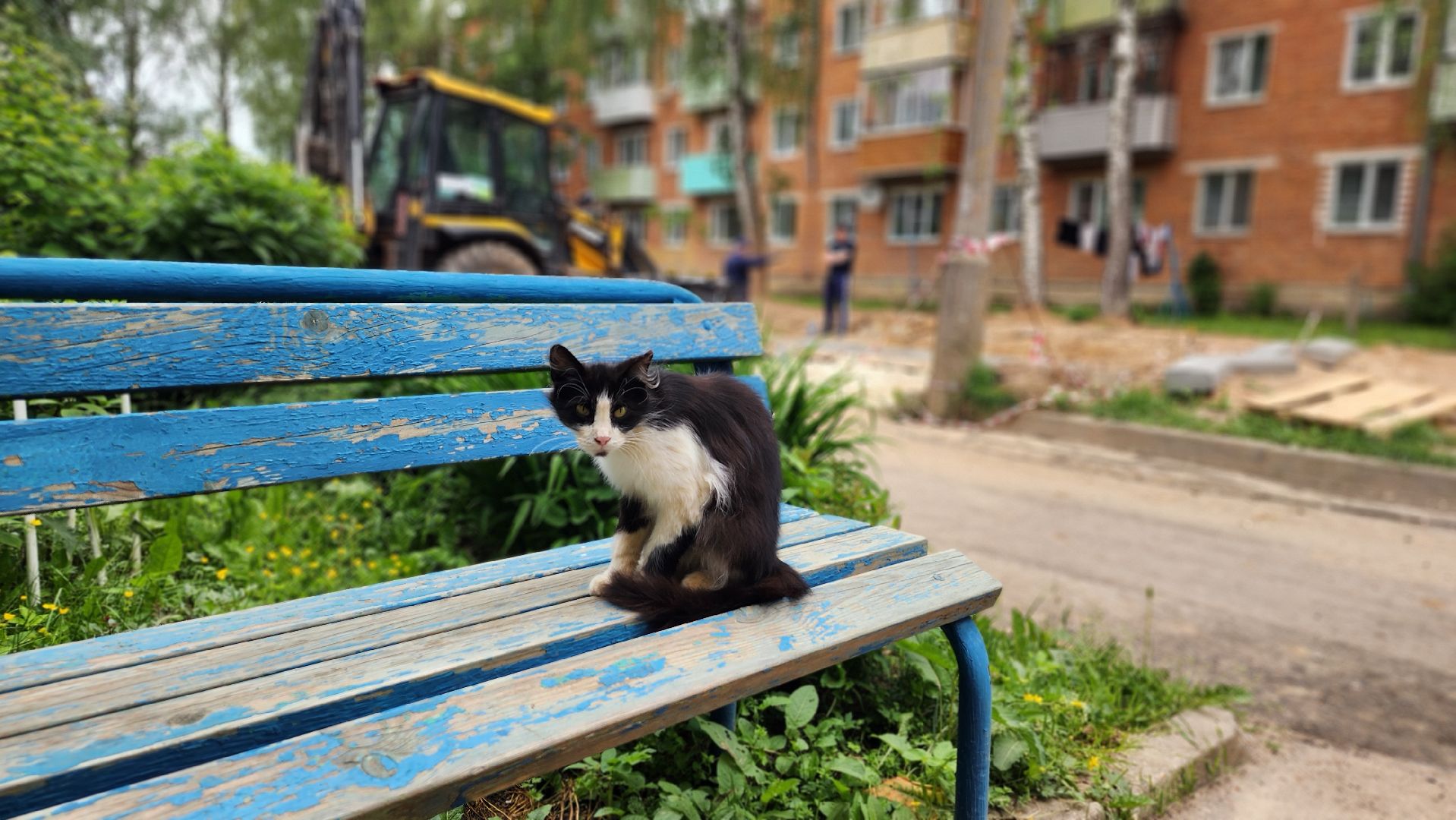 волоколамск, благоустройство, жкх,