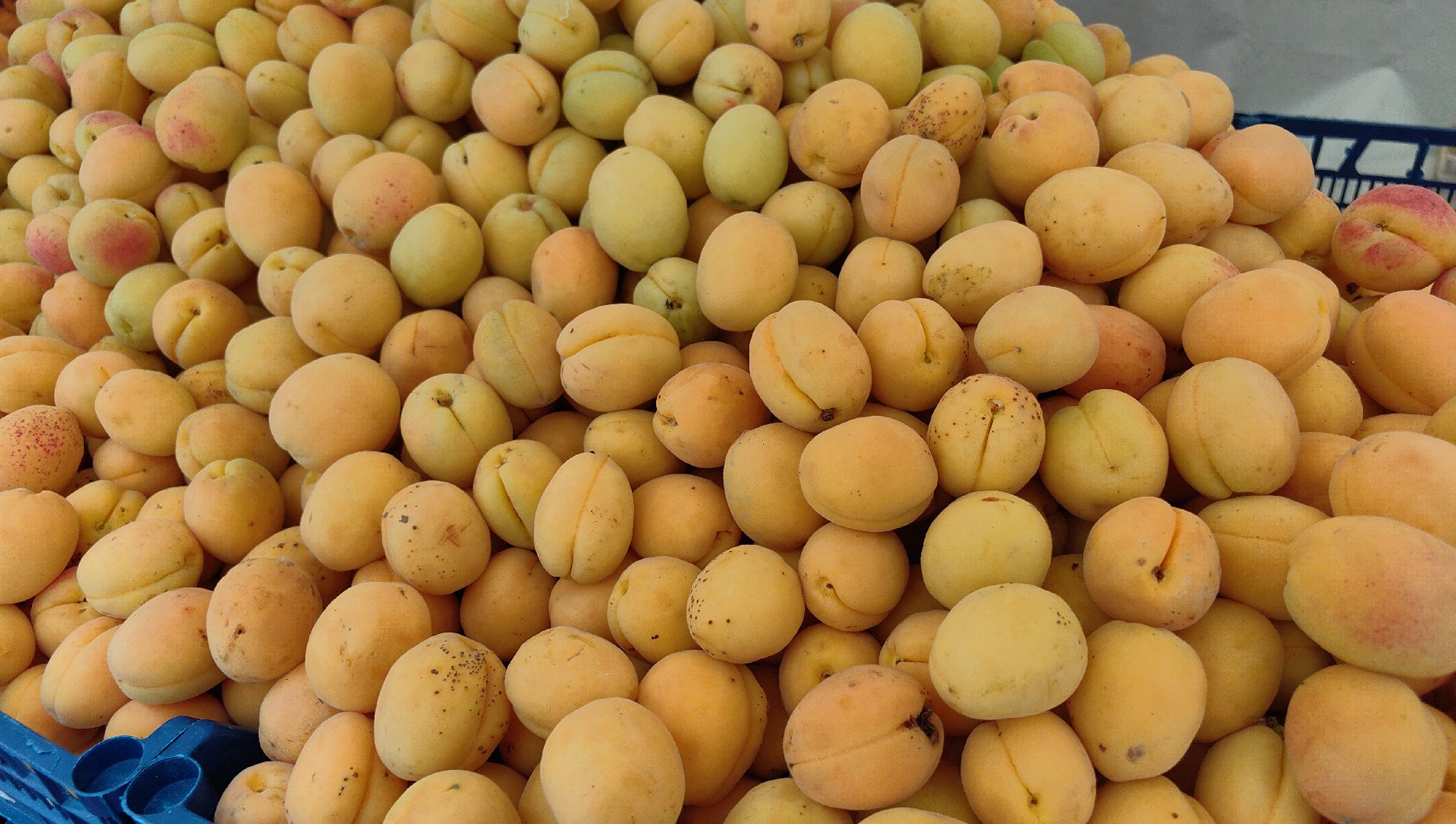 ярмарка, овощи, фрукты, текстиль,