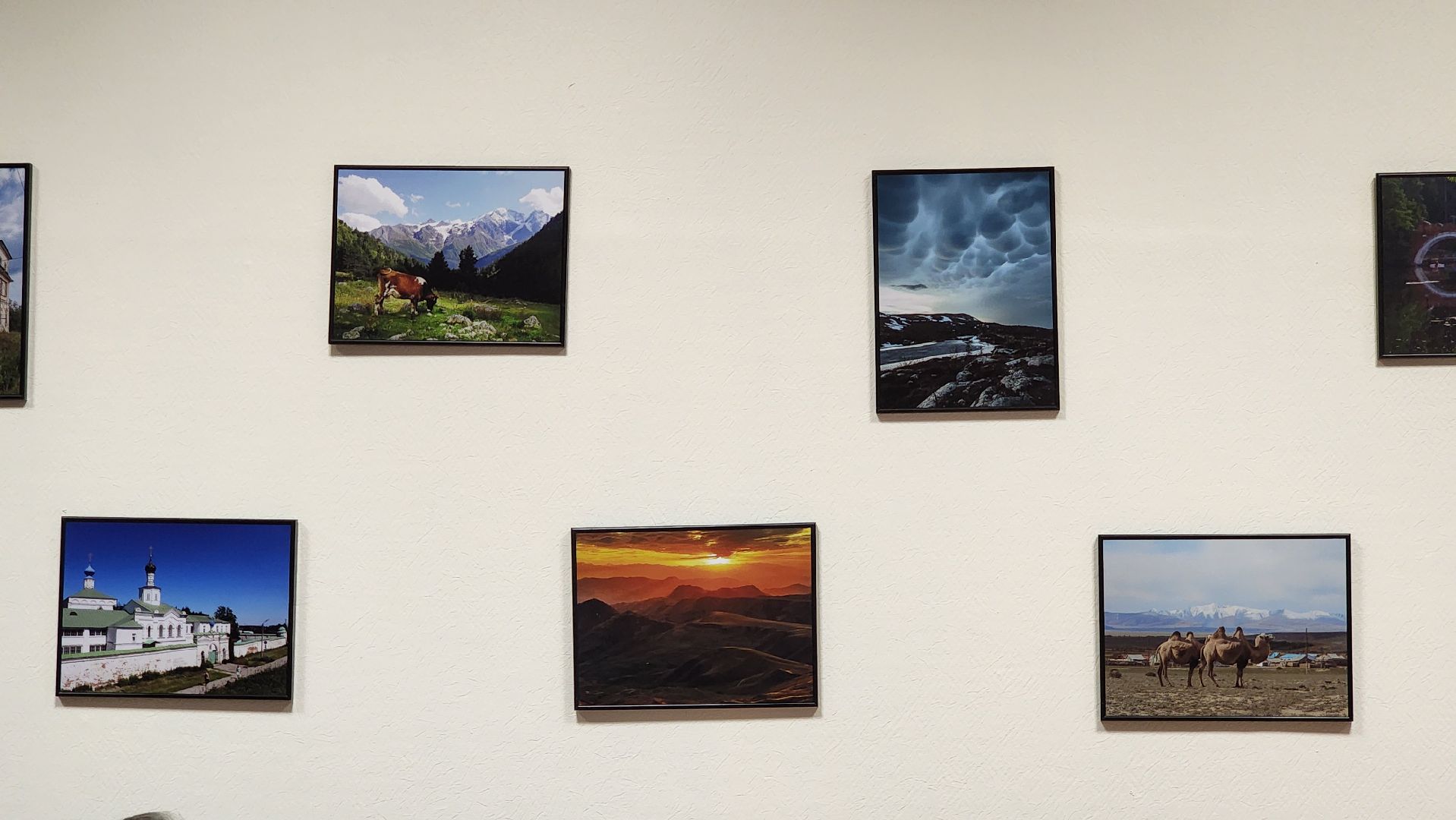 Фотовыставка , Лобня, Россия , День России ,