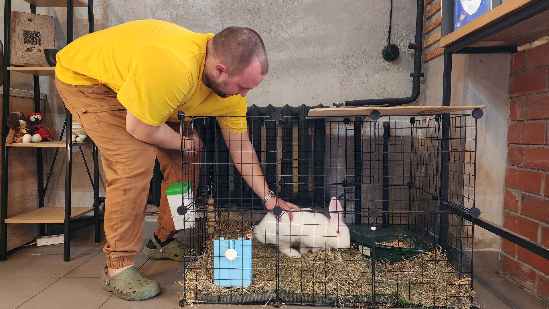 истра, день россии,