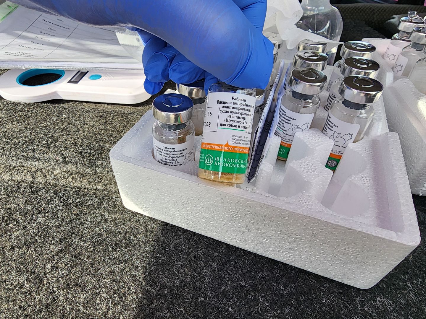 сергиев посад, бешенство, вакцинация, чипирование, терветуправление 2,