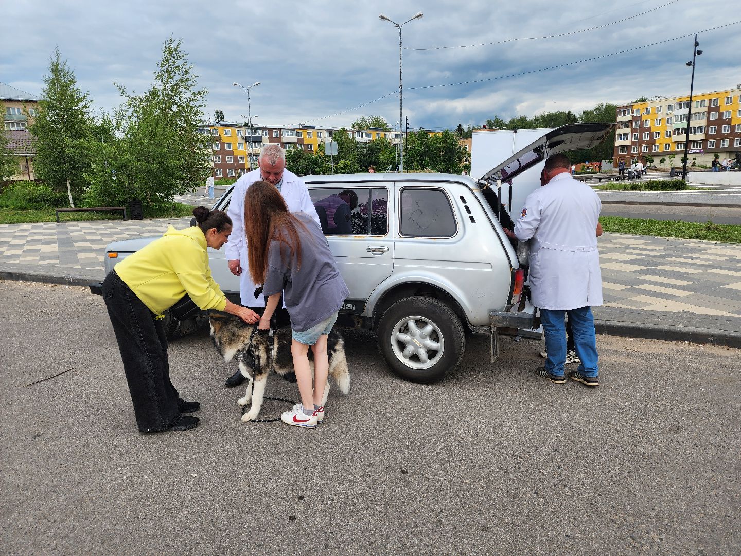 сергиев посад, бешенство, вакцинация, чипирование, терветуправление 2,
