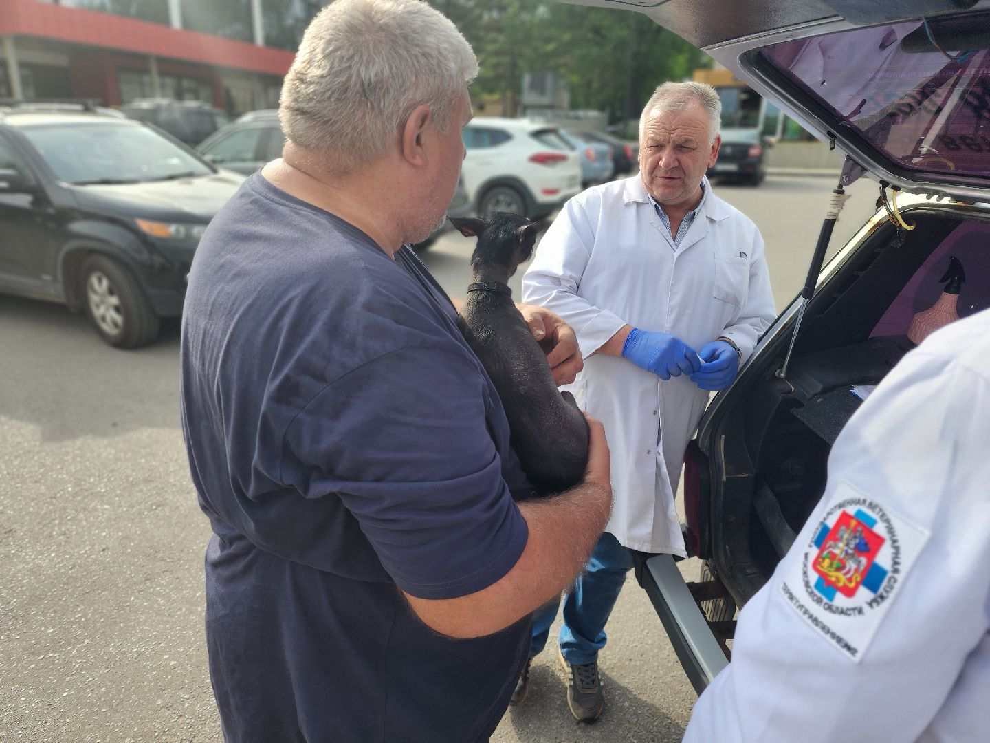 сергиев посад, бешенство, вакцинация, чипирование, терветуправление 2,