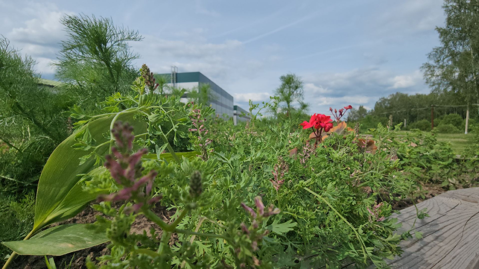 ступино, особая экономическая зона, культура, бизнес,