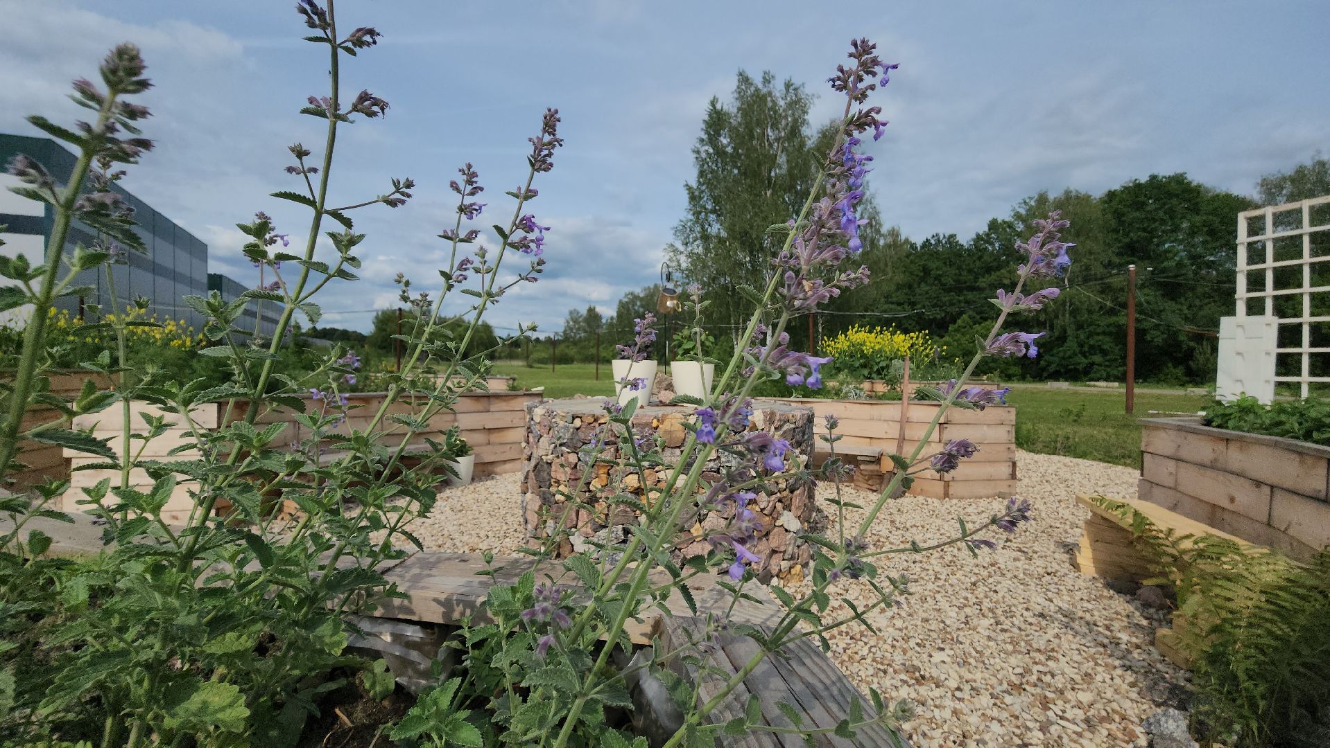 ступино, особая экономическая зона, культура, бизнес,