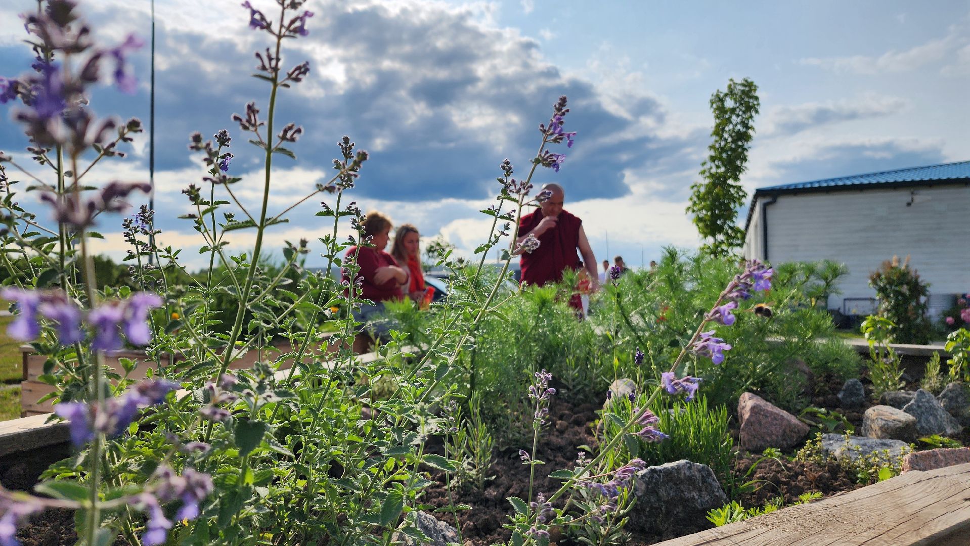 ступино, особая экономическая зона, культура, бизнес,