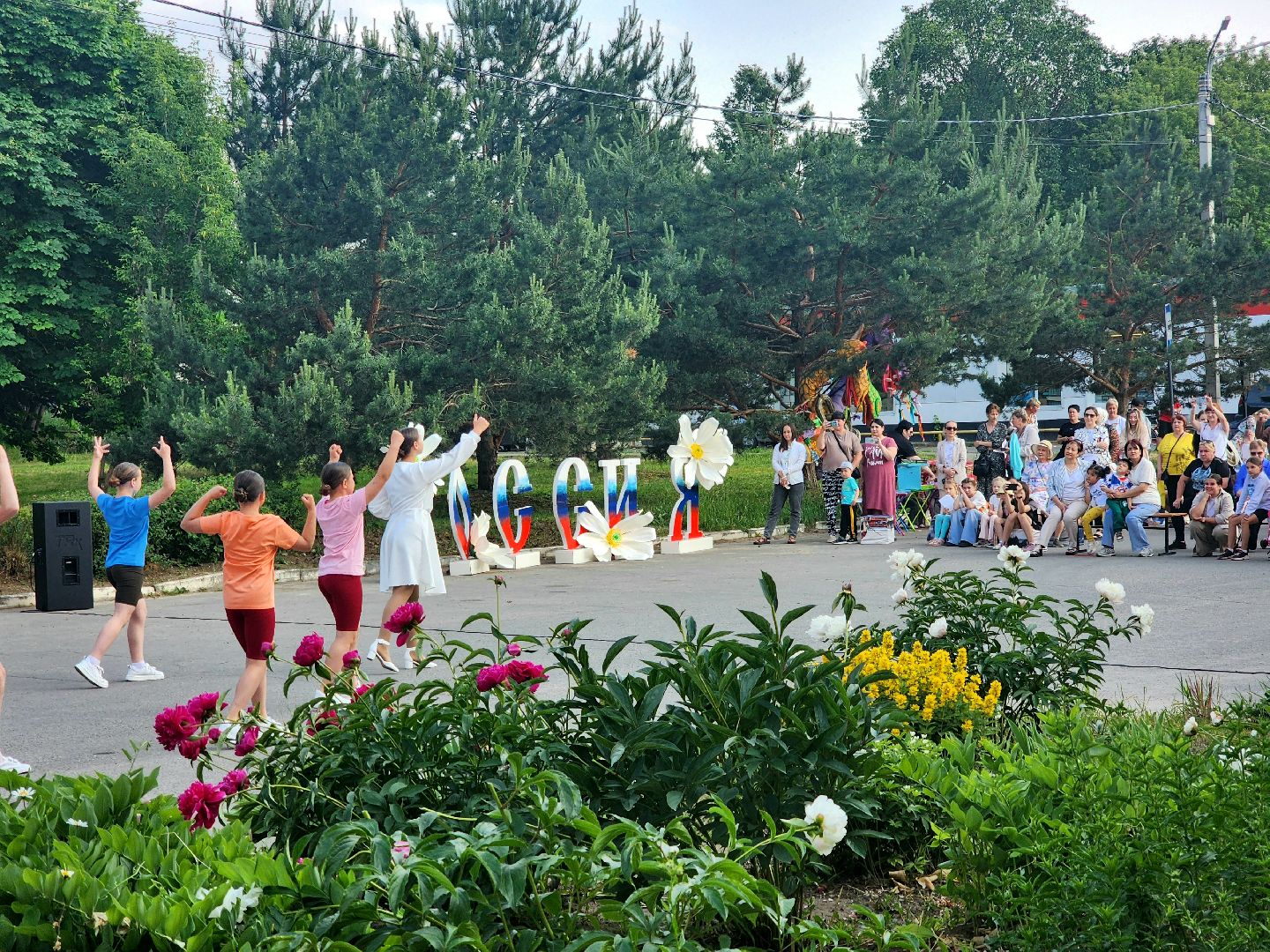 серпухов, липицы, день россии, день села,