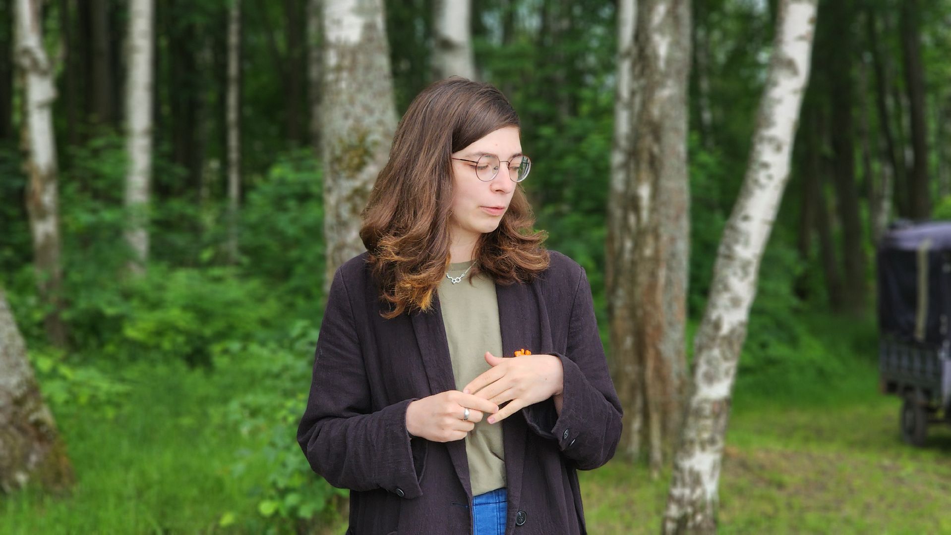 солнечногорск, день россии, набережная выстрел, экология, лайфхаки,