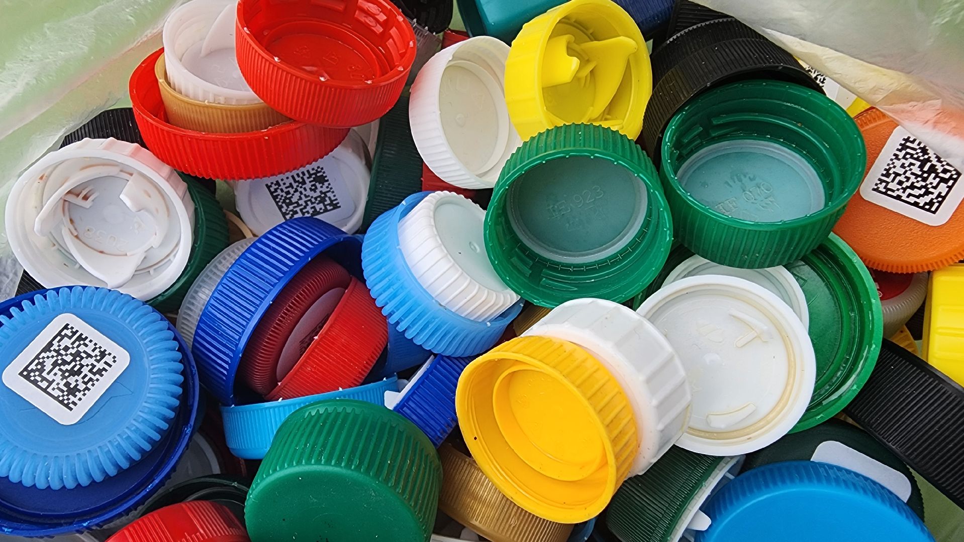 солнечногорск, день россии, набережная выстрел, экология, лайфхаки,