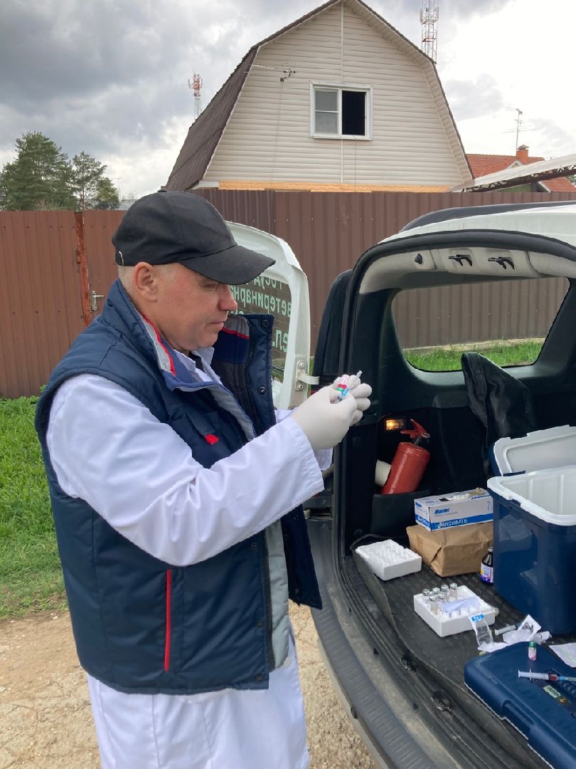 Солнечногорск, вакцинация, бешенство, домашние животные, профилактика