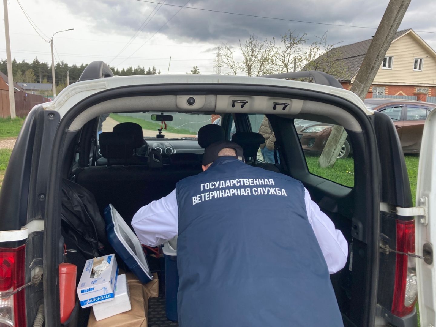 Солнечногорск, вакцинация, бешенство, домашние животные, профилактика