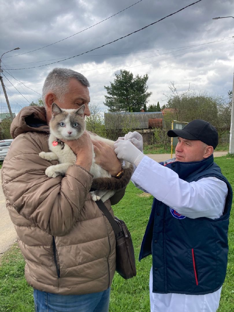 Солнечногорск, вакцинация, бешенство, домашние животные, профилактика