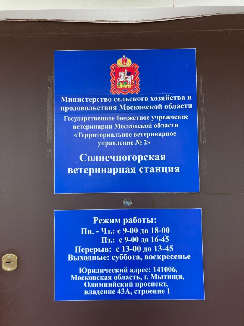 Солнечногорск, вакцинация, бешенство, домашние животные, профилактика