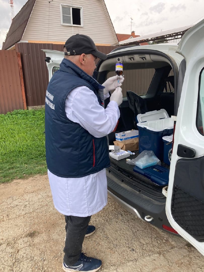 Солнечногорск, вакцинация, бешенство, домашние животные, профилактика