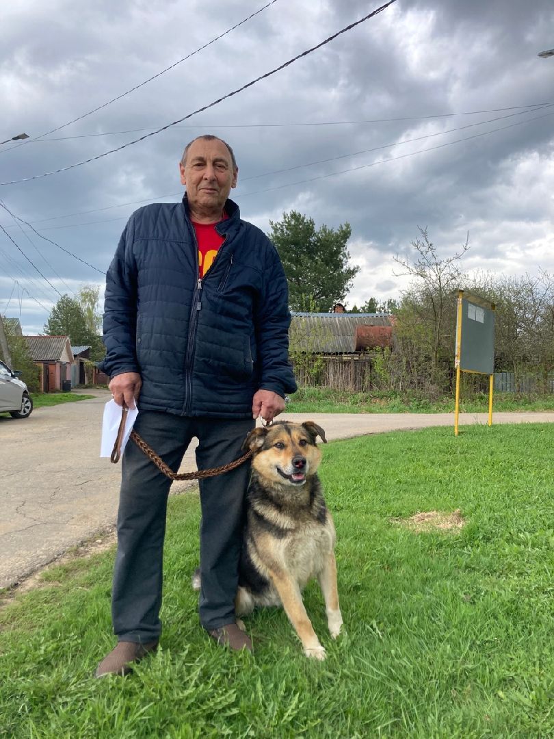 Солнечногорск, вакцинация, бешенство, домашние животные, профилактика