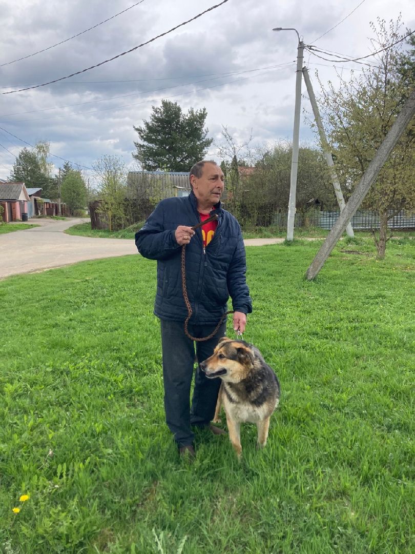 Солнечногорск, вакцинация, бешенство, домашние животные, профилактика