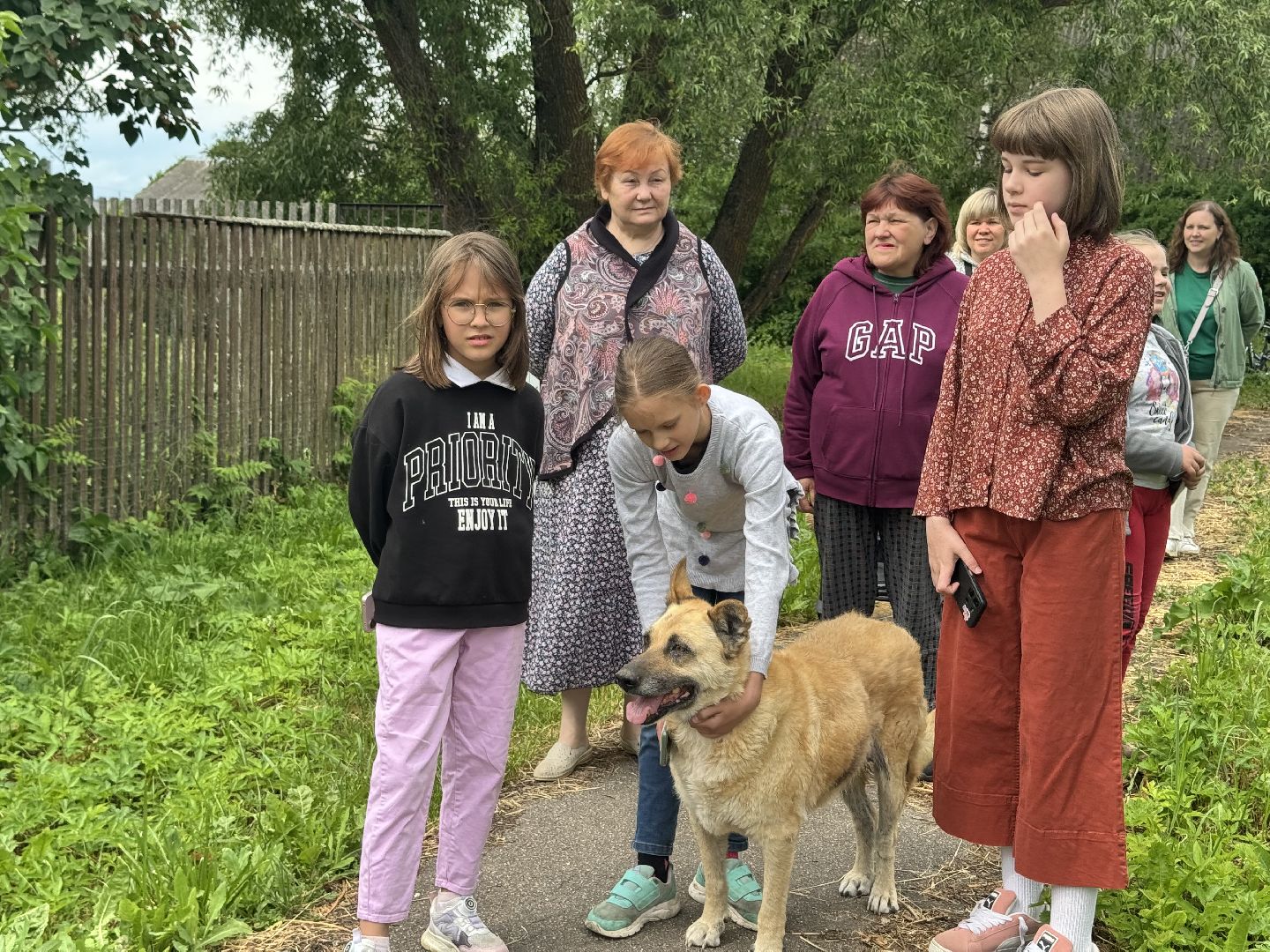 шаховская, день россии, день россии 2025,