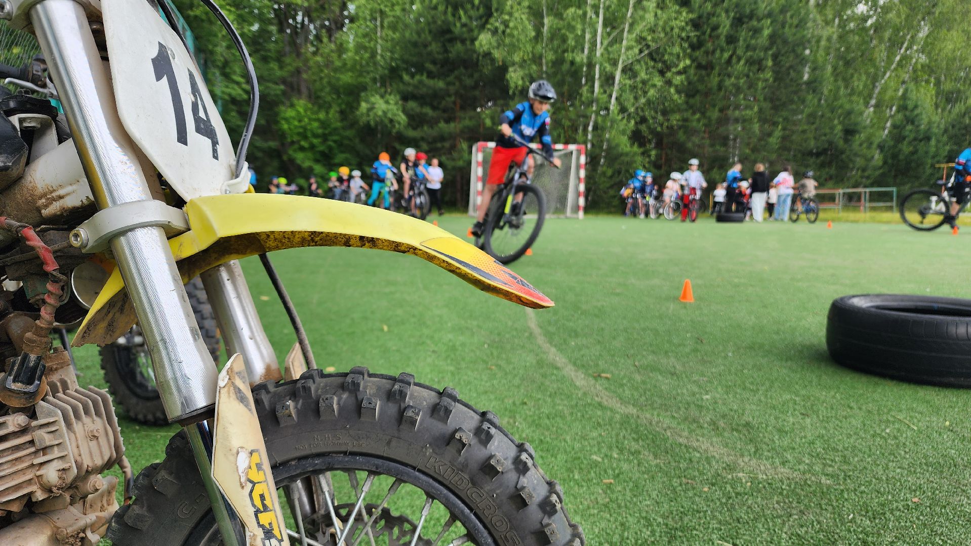 спорт, ступино, день россии,