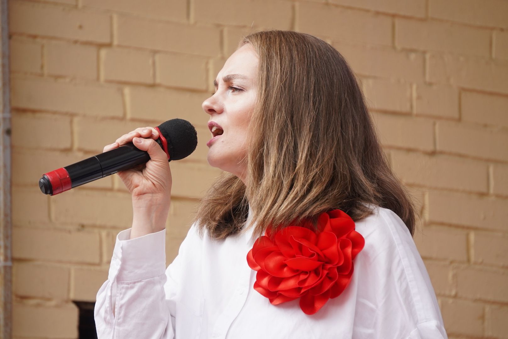 Павловский Посад , День России , Концерт ,