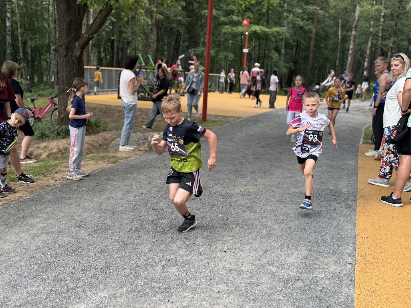 забег в честь дня россии, день россии, балашиха, вишняковский парк,