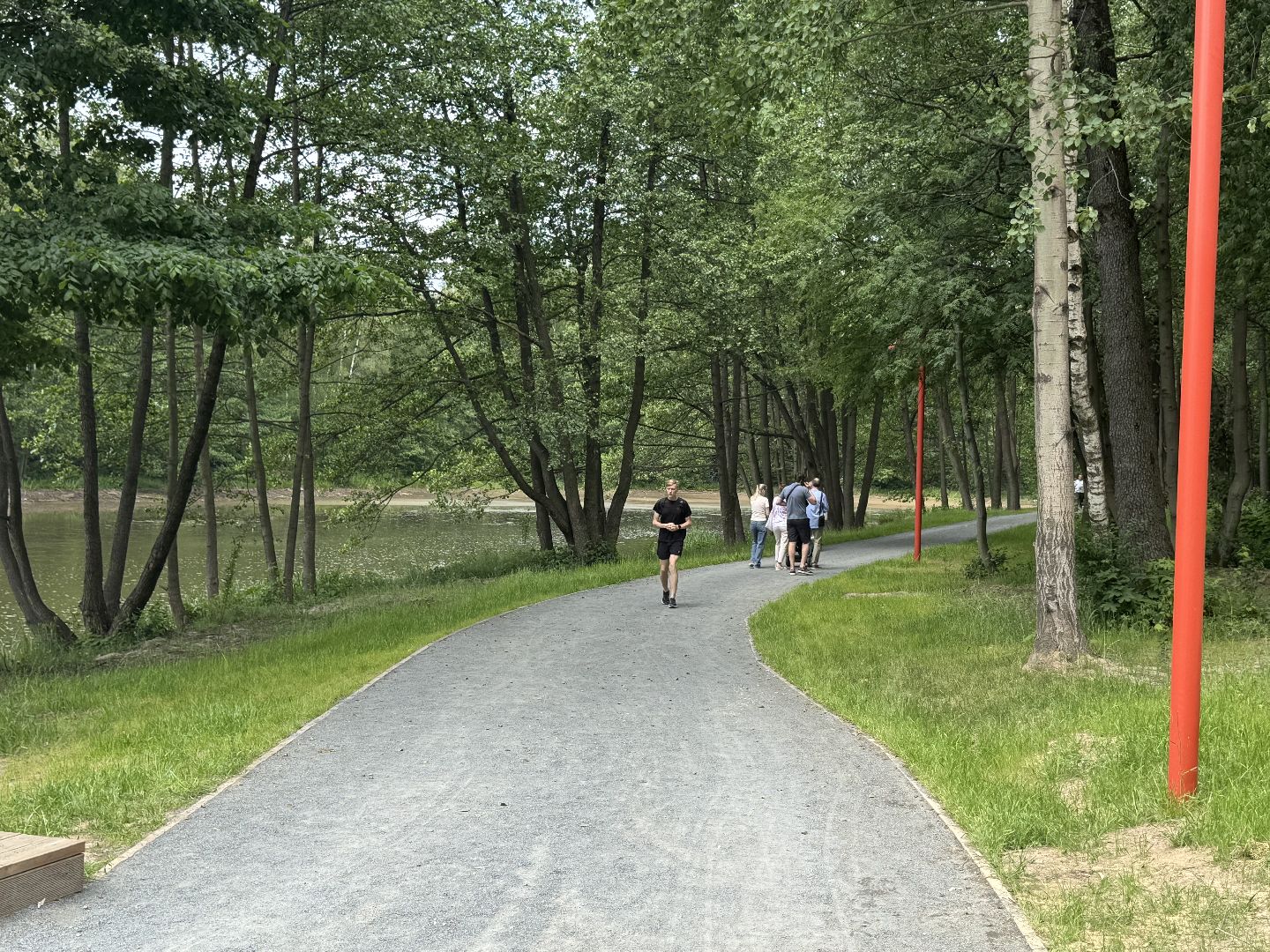 вишняковский парк, балашиха, день россии,