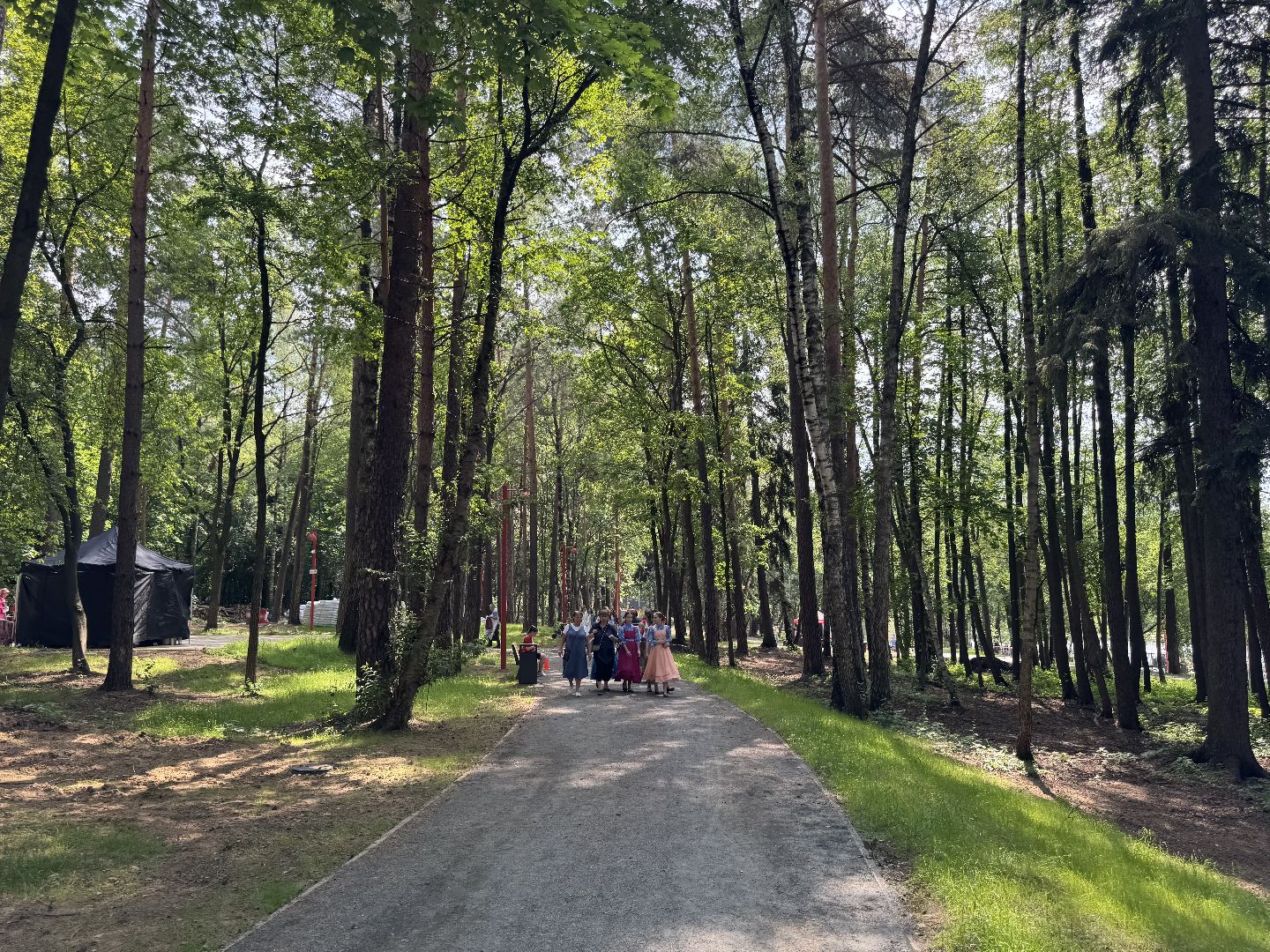 вишняковский парк, балашиха, день россии,