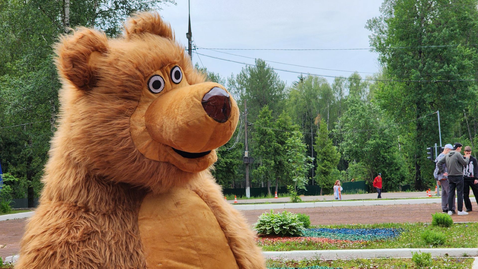 волоколамск, медведь, день россии,