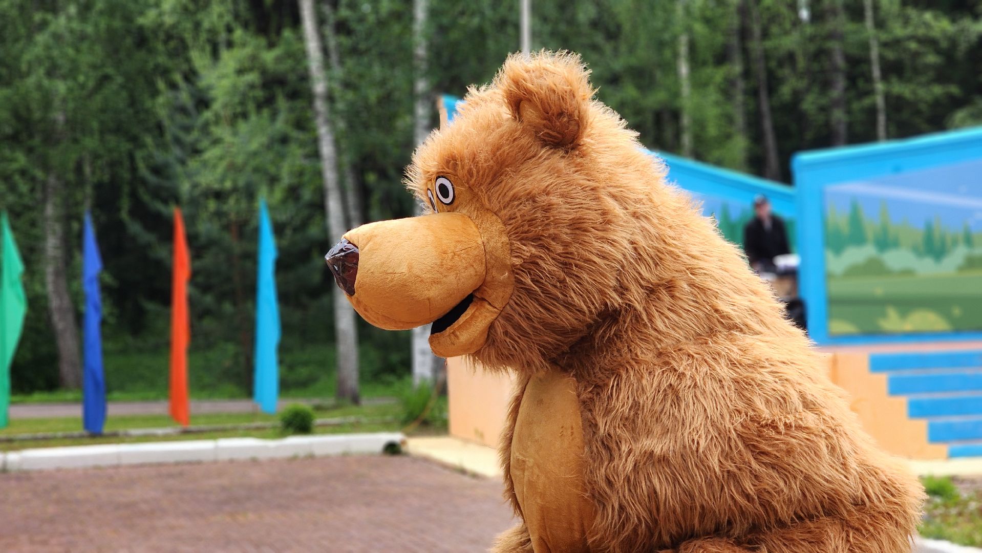 волоколамск, медведь, день россии,