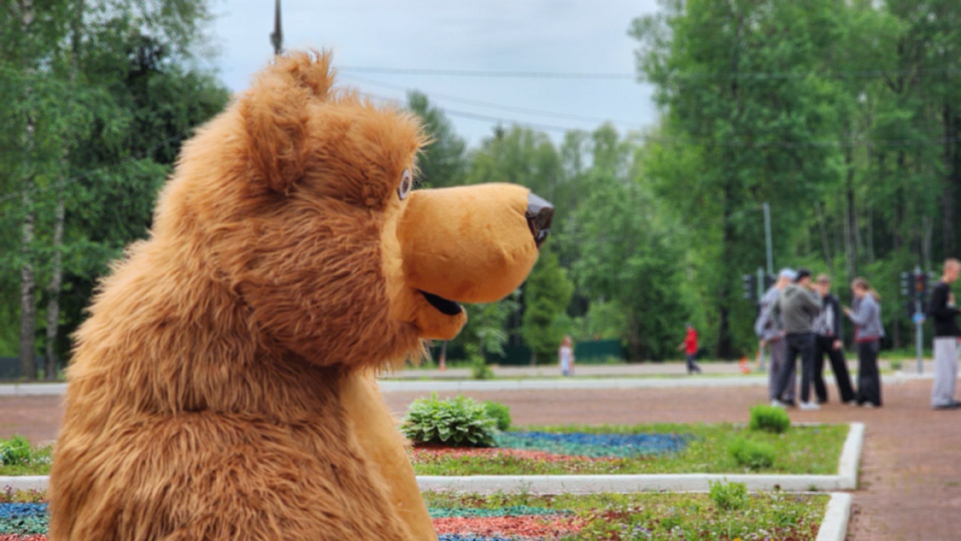 волоколамск, медведь, день россии,