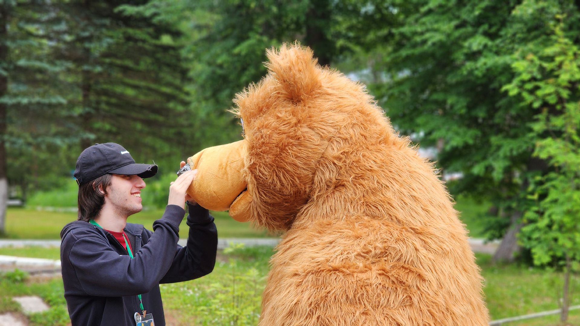 волоколамск, медведь, день россии,