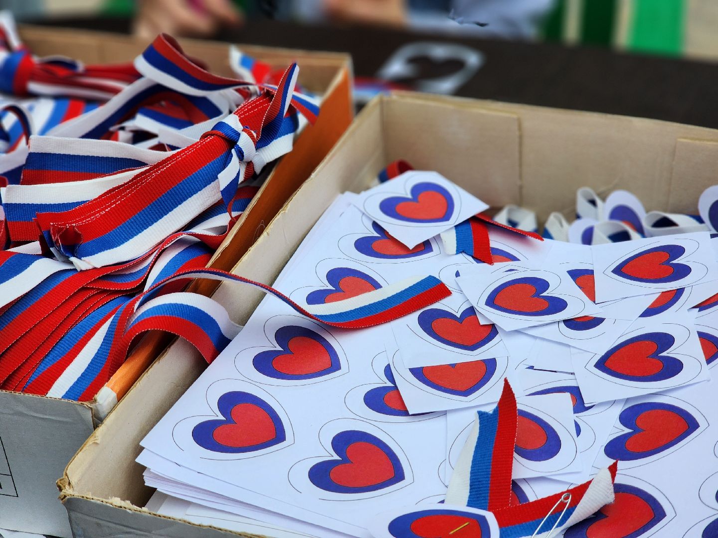 воскресенск, день россии, триколор, волонтеры,