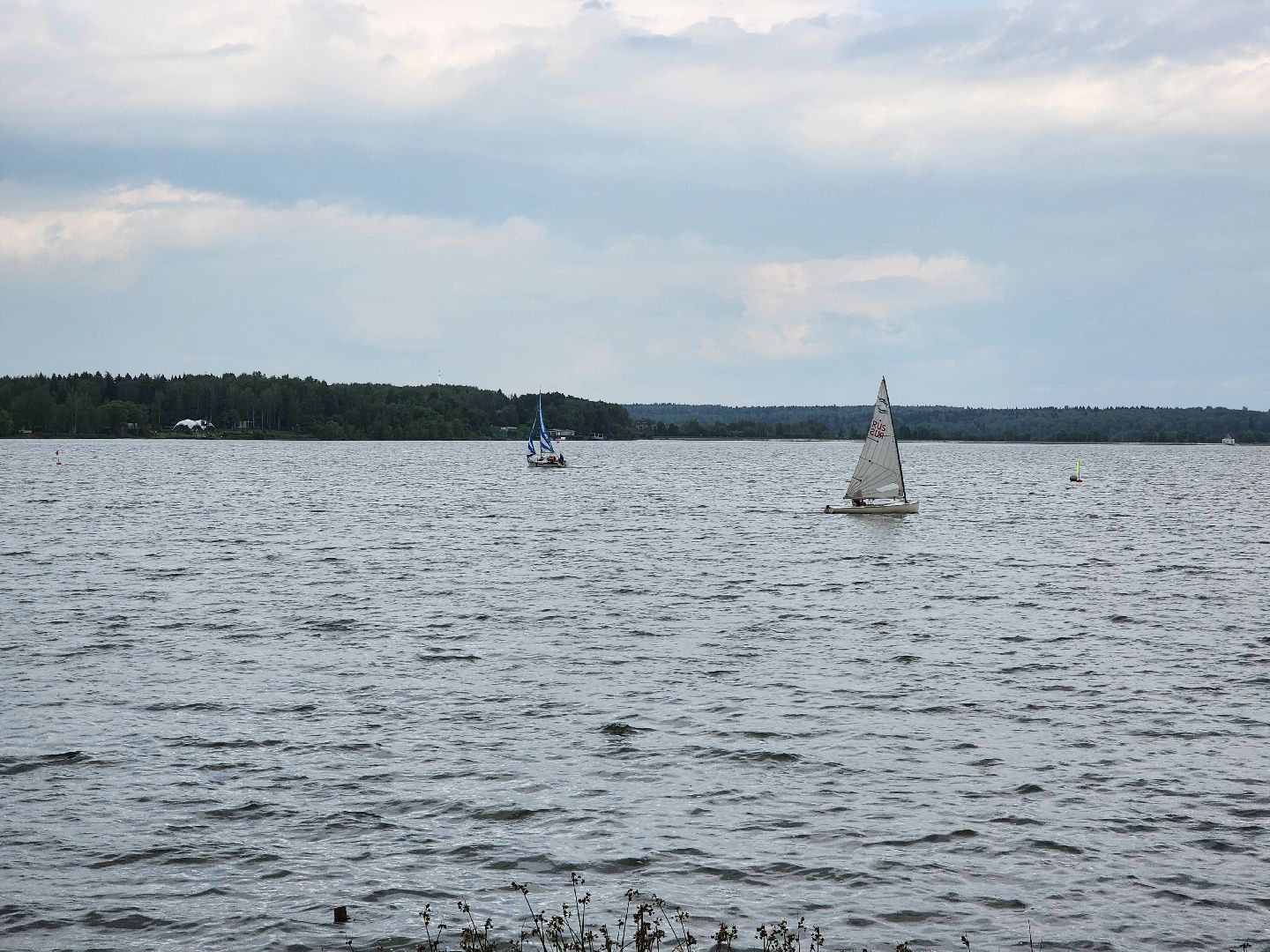 солнечногорск, гонки, сенеж, лето, яхты ,